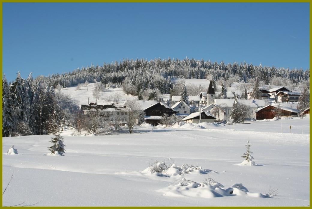 Pension Philippsreut "Zum Pfenniggeiger" Am Goldsteigwanderweg Exterior foto